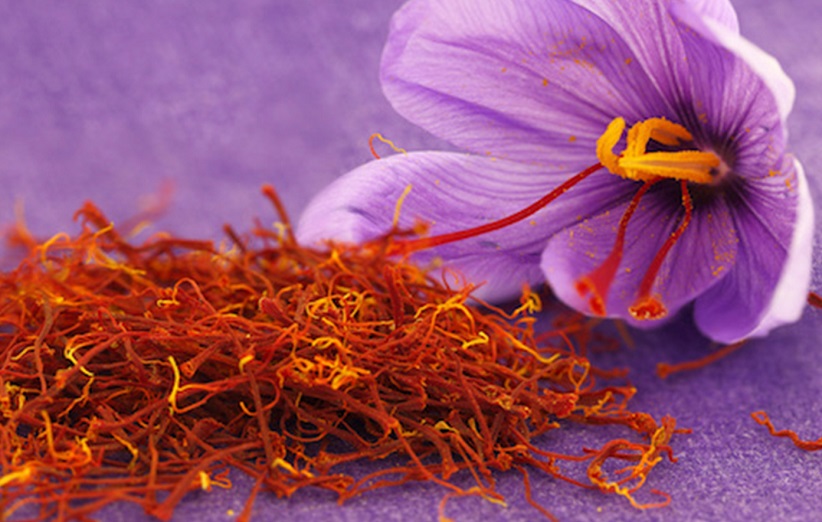 زعفران تک چین در فرانسه